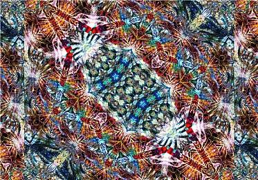 《极限竞速：Motorsport》宣布首个内容更新 11月中旬上线